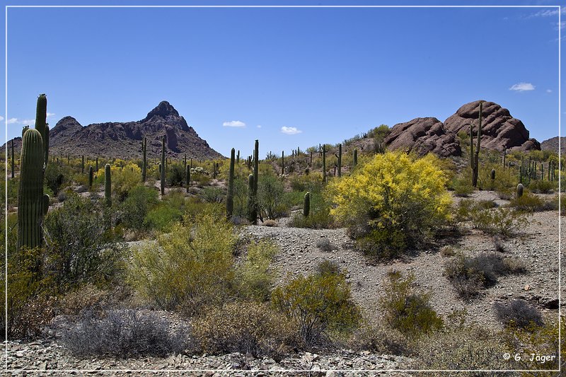 ajo_scenic_loop_08.jpg