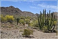 ajo_scenic_loop_01