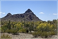 ajo_scenic_loop_06