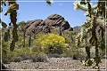 ajo_scenic_loop_13