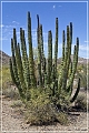 ajo_scenic_loop_17