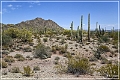 ajo_scenic_loop_18