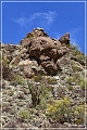 ajo_scenic_loop_22