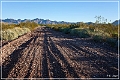 kofa_az_02