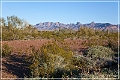 kofa_az_03