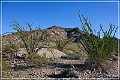 kofa_az_13