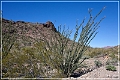 kofa_az_26