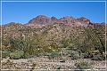 kofa_az_33