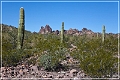 kofa_az_39