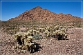 kofa_az_47