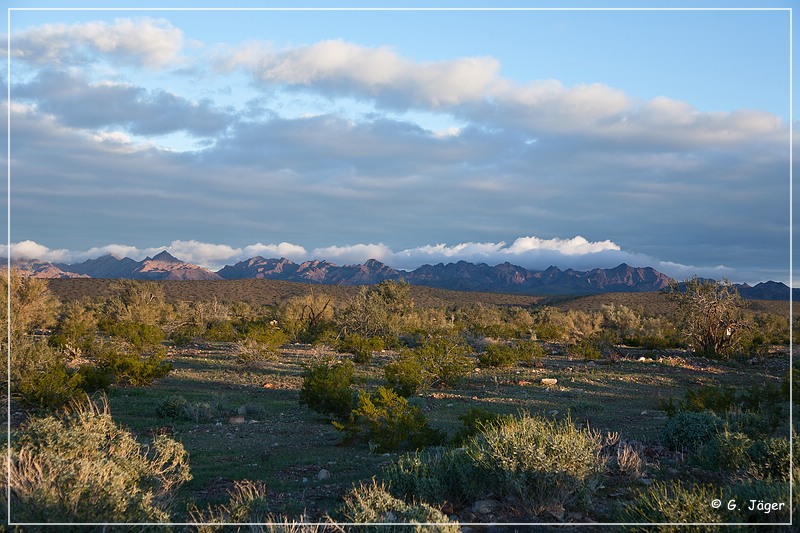 kofa_palm_canyon_01.jpg