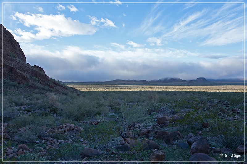 kofa_palm_canyon_02.jpg