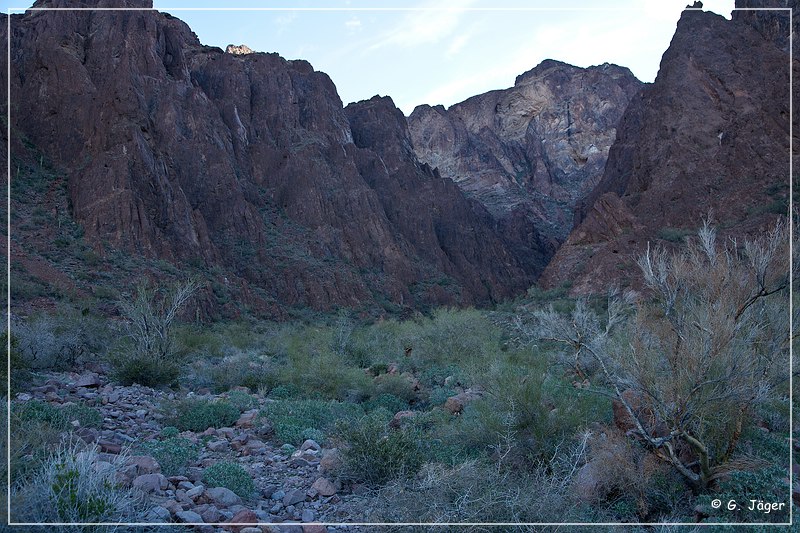 kofa_palm_canyon_03.jpg