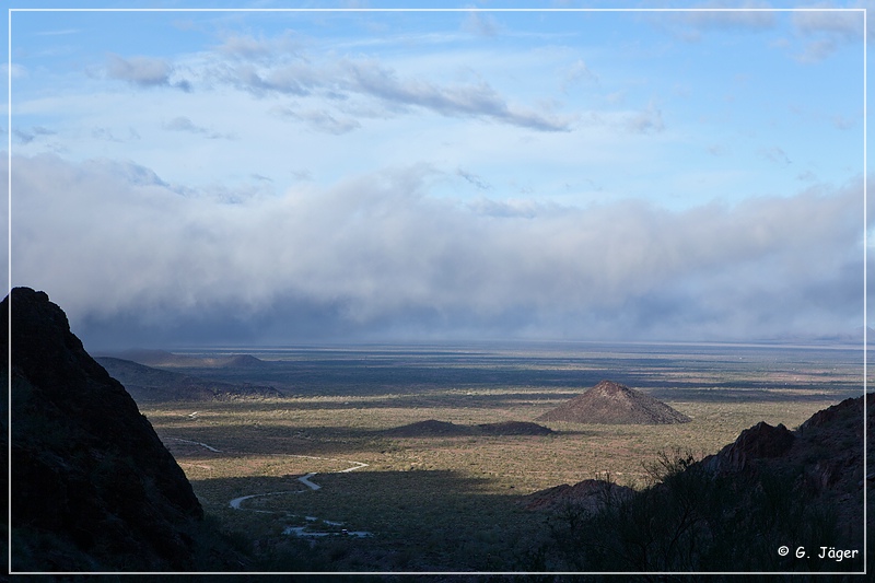 kofa_palm_canyon_05.jpg