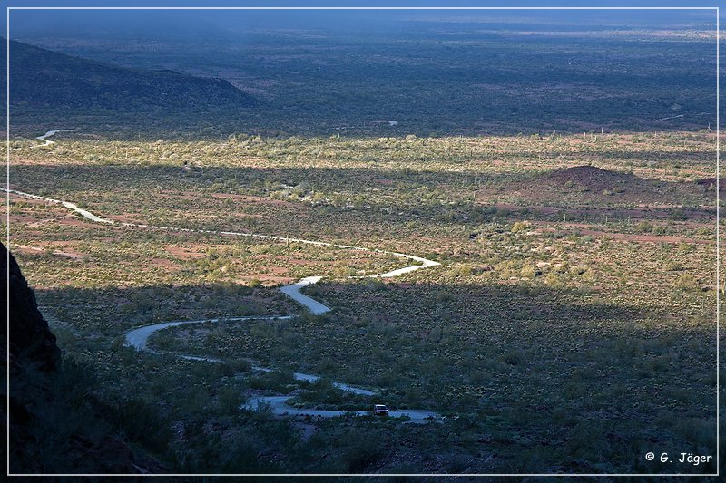 kofa_palm_canyon_06.jpg