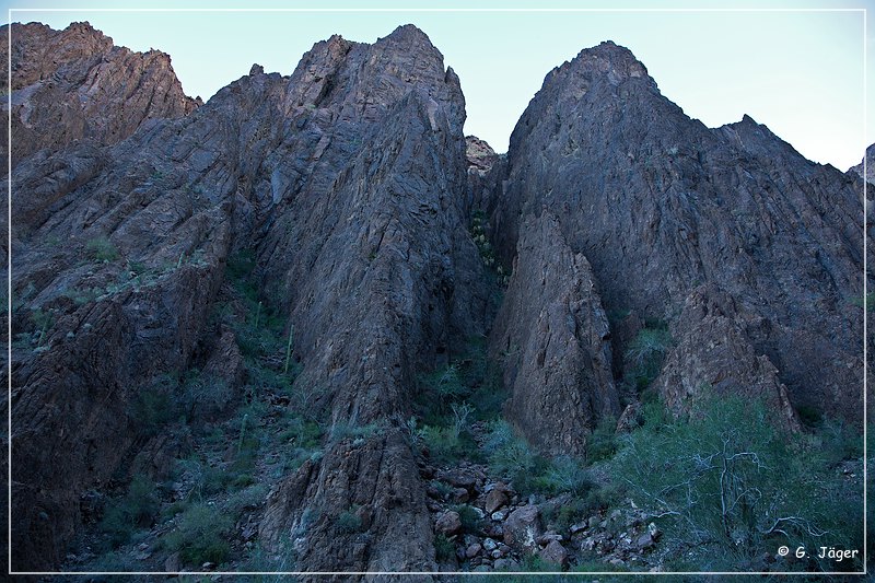 kofa_palm_canyon_08.jpg