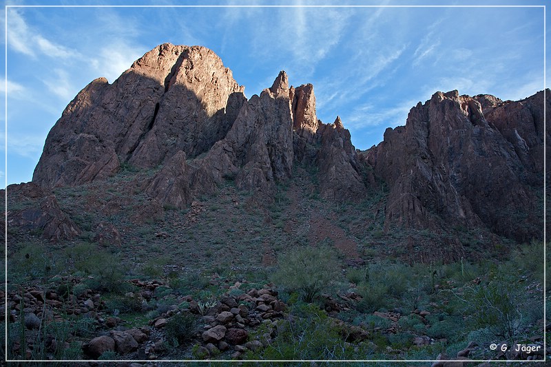 kofa_palm_canyon_13.jpg