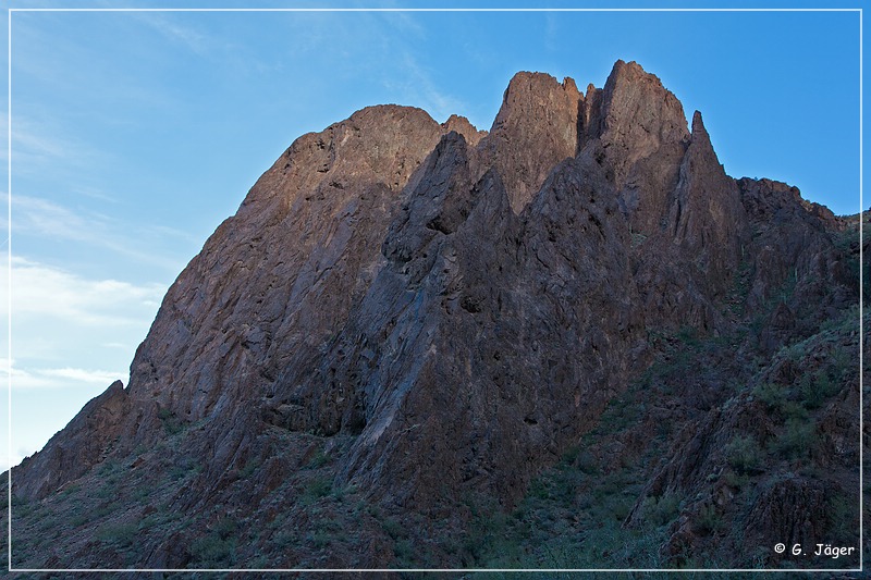 kofa_palm_canyon_14.jpg