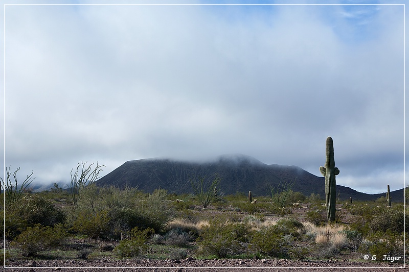 kofa_palm_canyon_24.jpg