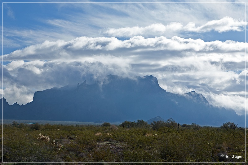 kofa_palm_canyon_26.jpg