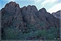 kofa_palm_canyon_07