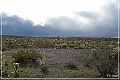 kofa_palm_canyon_23