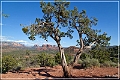 sedona_2015_12