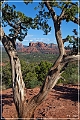 sedona_2015_14