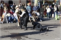 wickenburg_parade_03