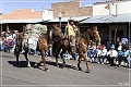 wickenburg_parade_23