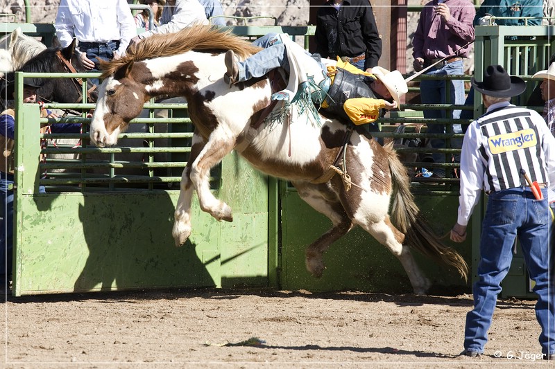 rodeo_04.jpg