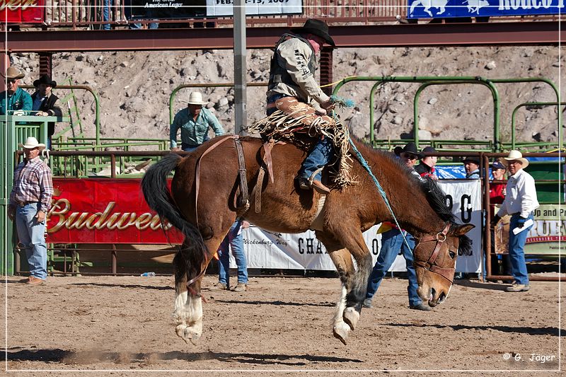 rodeo_11a9.jpg