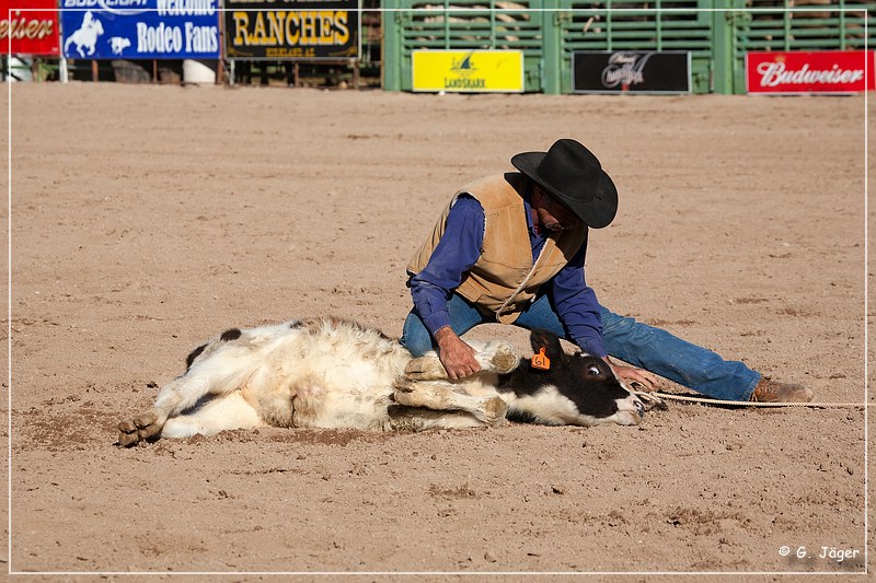 rodeo_20a.jpg