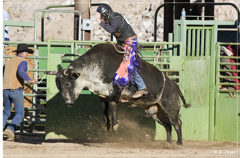 rodeo_23.jpg