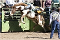 rodeo_04