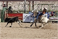 rodeo_09