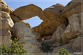 boomerang_arch_02