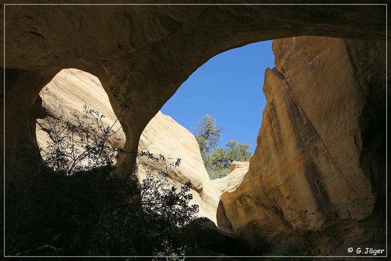 octopus_arch_06.jpg