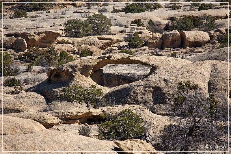 coyote_arch_02.jpg