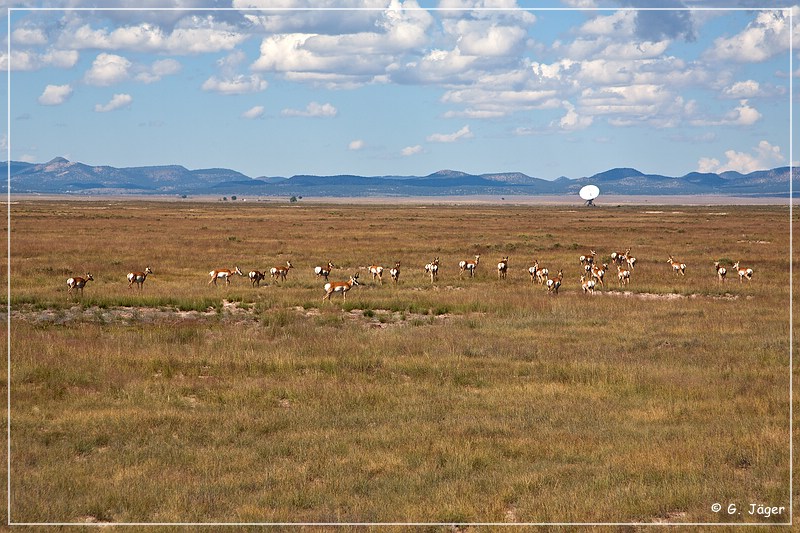 vla_telescope_05.jpg