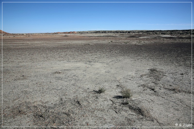 bisti2006_01.jpg