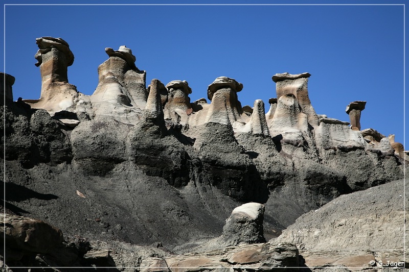 bisti2006_04.jpg