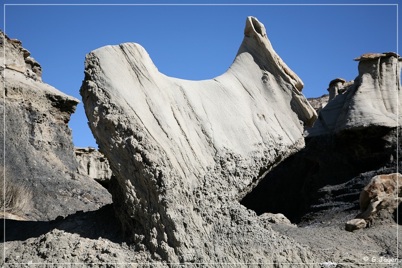 bisti2006_06.jpg