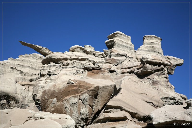 bisti2006_08.jpg