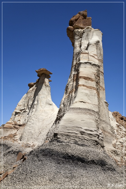 bisti2009_14.jpg