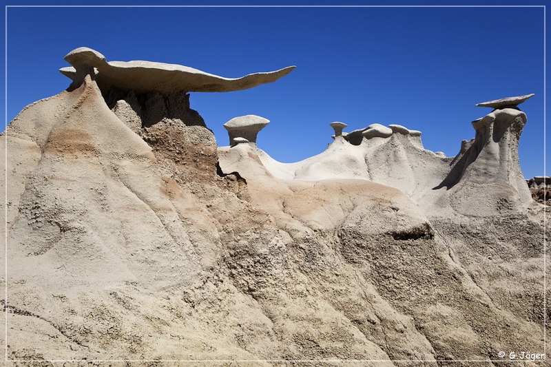 bisti2010_20.jpg