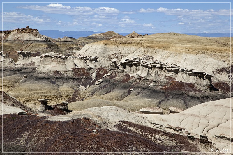 bisti2010_23.jpg