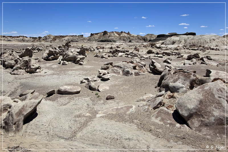 bisti2010_26.jpg