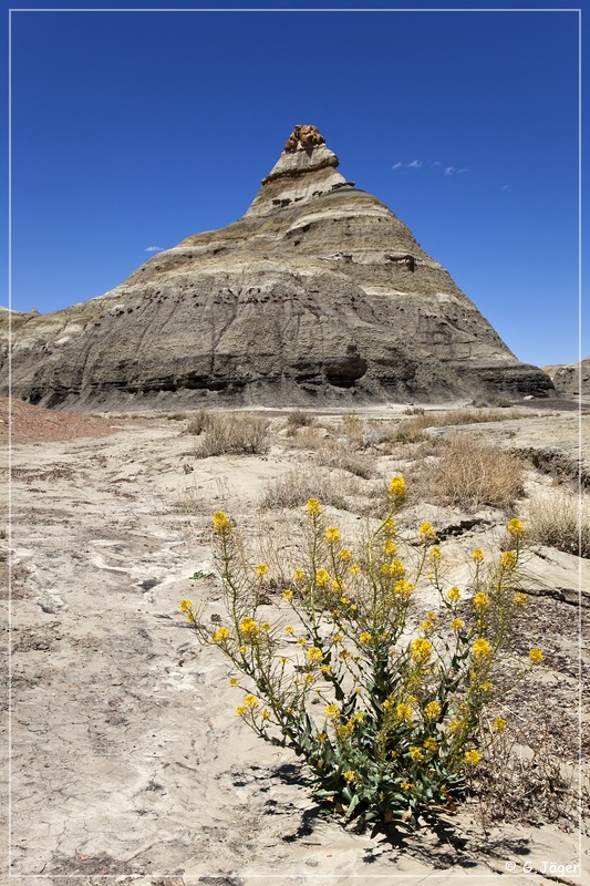 bisti2010_28.jpg