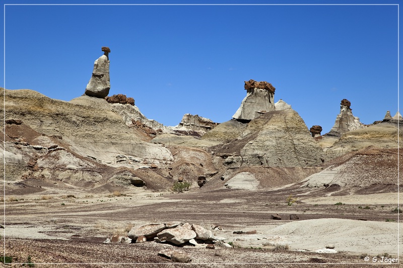 bisti2010_29.jpg